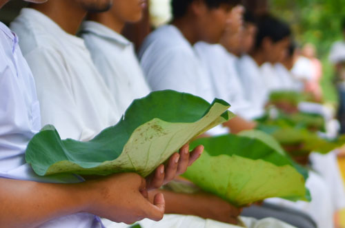 บวชพระใหม่